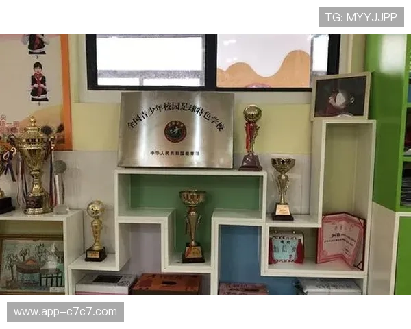 荆州市篮协负责人谈青BA:打造城市体育名片助推发展